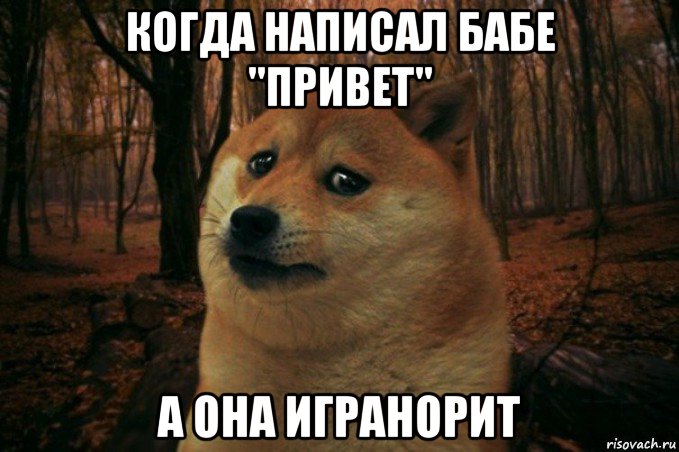 когда написал бабе ''привет'' а она игранорит, Мем SAD DOGE