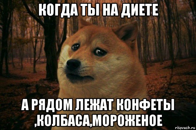 когда ты на диете а рядом лежат конфеты ,колбаса,мороженое, Мем SAD DOGE