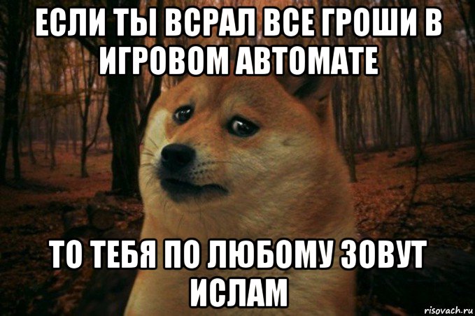 если ты всрал все гроши в игровом автомате то тебя по любому зовут ислам, Мем SAD DOGE