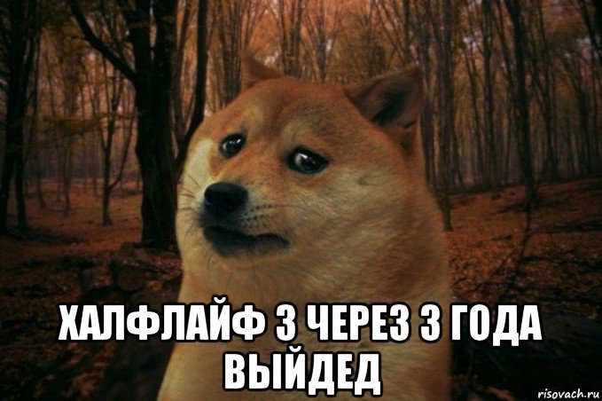  халфлайф 3 через 3 года выйдед, Мем SAD DOGE