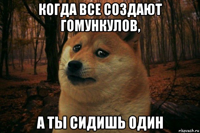 когда все создают гомункулов, а ты сидишь один, Мем SAD DOGE