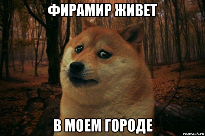 фирамир живет в моем городе, Мем SAD DOGE