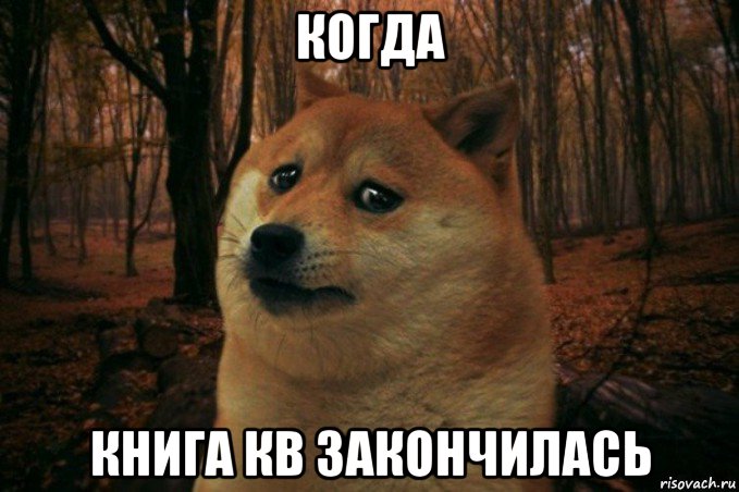 когда книга кв закончилась, Мем SAD DOGE