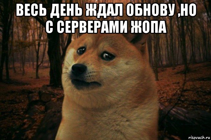 весь день ждал обнову ,но с серверами жопа , Мем SAD DOGE