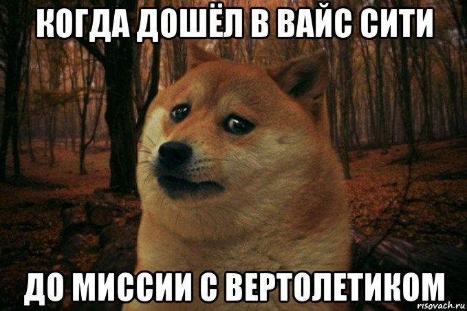 когда дошёл в вайс сити до миссии с вертолетиком, Мем SAD DOGE