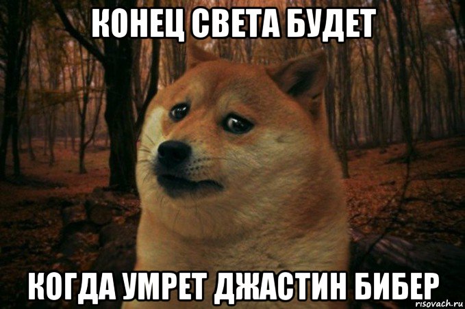 конец света будет когда умрет джастин бибер, Мем SAD DOGE