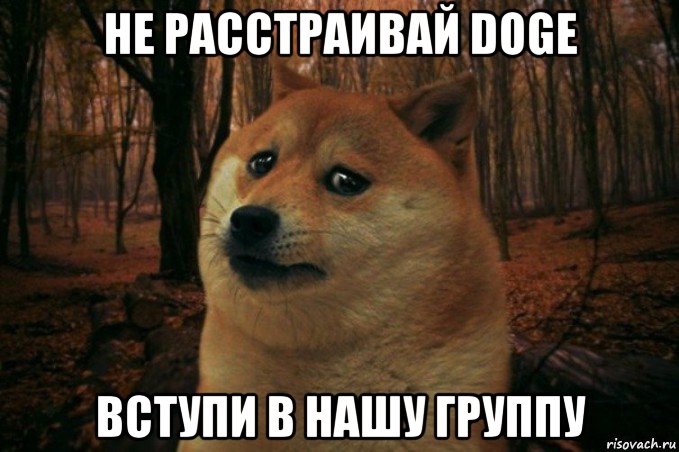 не расстраивай doge вступи в нашу группу, Мем SAD DOGE