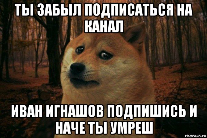 ты забыл подписаться на канал иван игнашов подпишись и наче ты умреш, Мем SAD DOGE