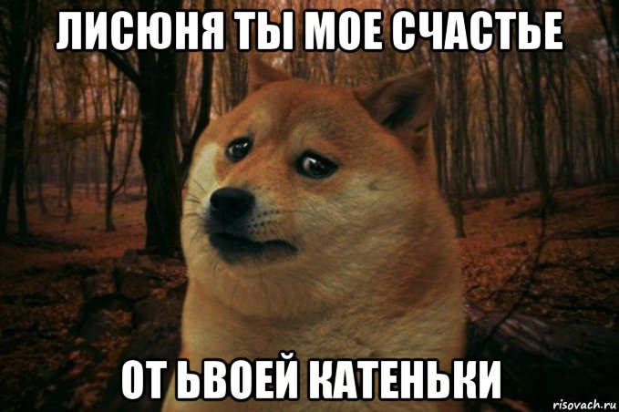 лисюня ты мое счастье от ьвоей катеньки, Мем SAD DOGE