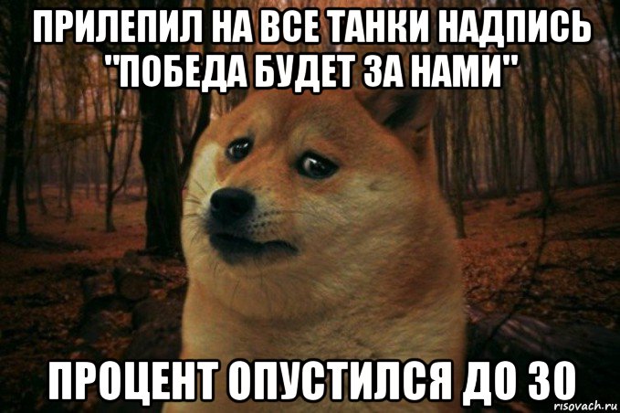 прилепил на все танки надпись "победа будет за нами" процент опустился до 30, Мем SAD DOGE