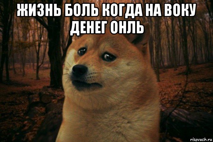 жизнь боль когда на воку денег онль , Мем SAD DOGE