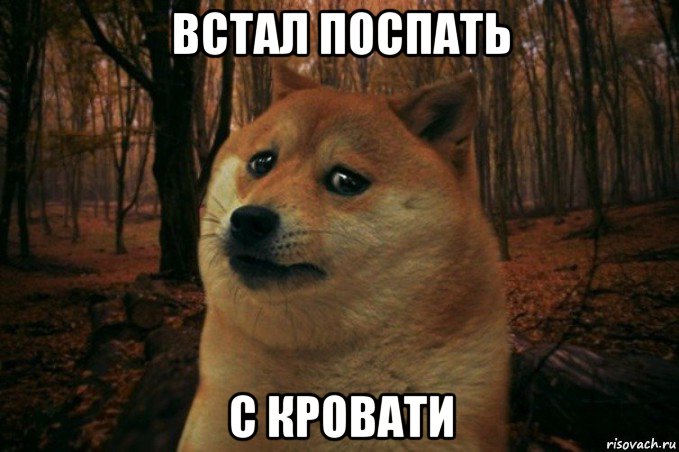 встал поспать с кровати, Мем SAD DOGE