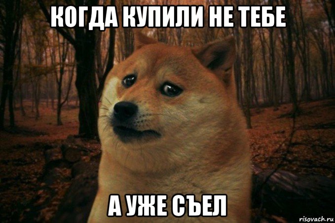 когда купили не тебе а уже съел, Мем SAD DOGE