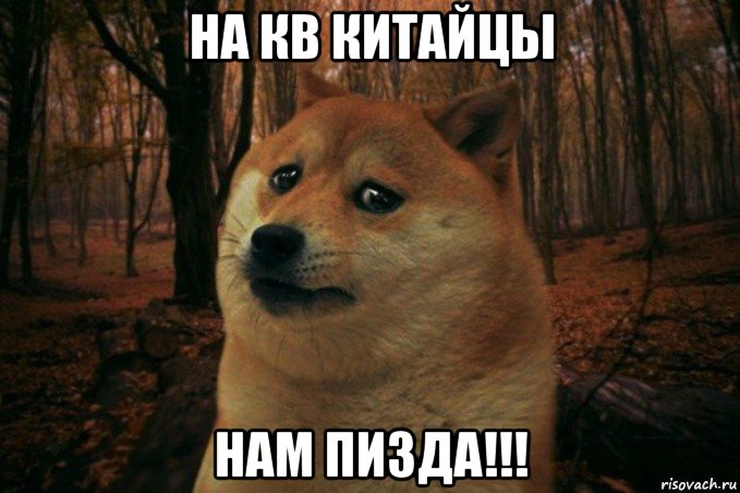 на кв китайцы нам пизда!!!, Мем SAD DOGE