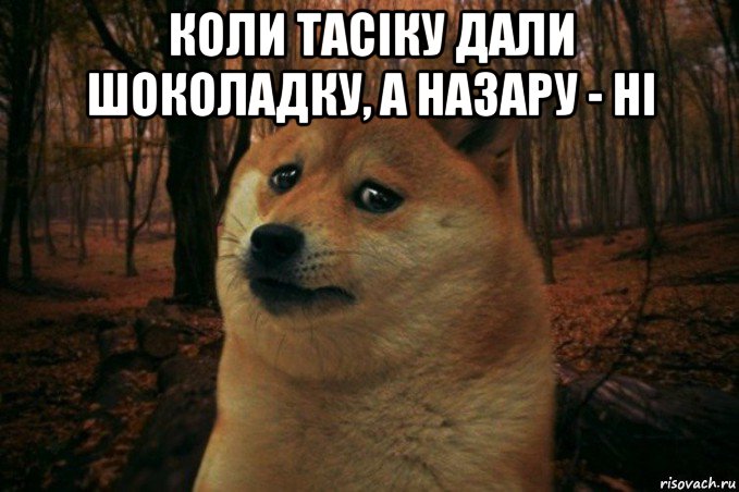 коли тасіку дали шоколадку, а назару - ні , Мем SAD DOGE