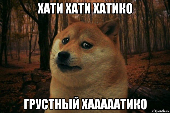 хати хати хатико грустный хааааатико, Мем SAD DOGE