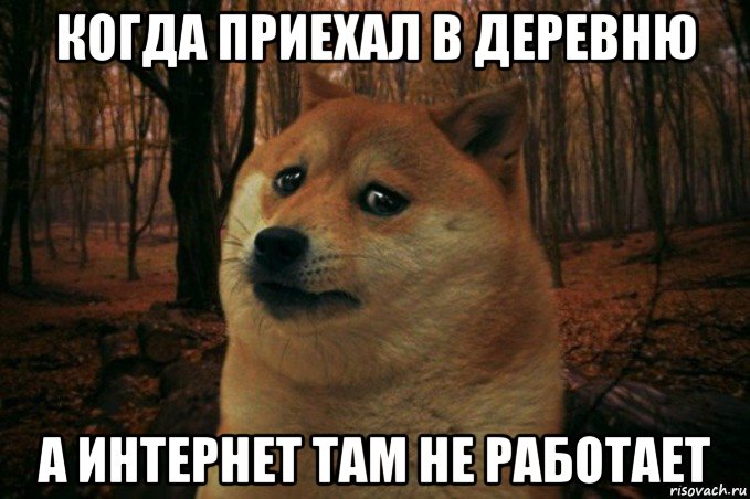 когда приехал в деревню а интернет там не работает, Мем SAD DOGE