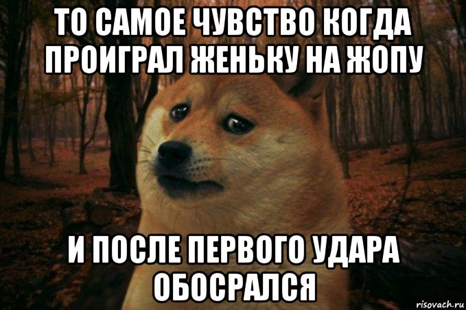 то самое чувство когда проиграл женьку на жопу и после первого удара обосрался, Мем SAD DOGE