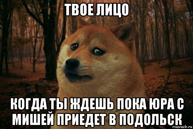 твое лицо когда ты ждешь пока юра с мишей приедет в подольск, Мем SAD DOGE