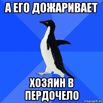 а его дожаривает хозяин в пердочело, Мем  Социально-неуклюжий пингвин