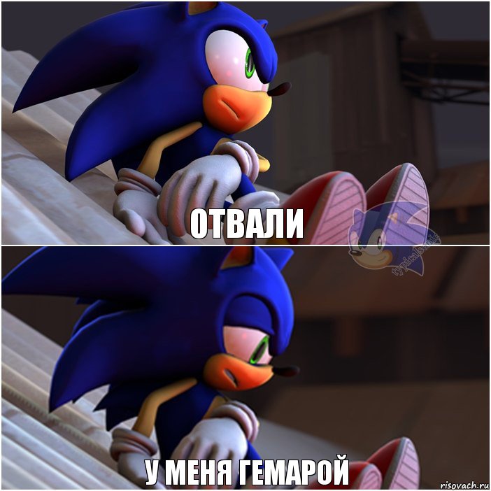 Отвали У меня гемарой, Комикс Sonic 1