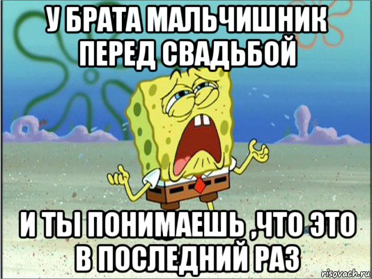 у брата мальчишник перед свадьбой и ты понимаешь ,что это в последний раз, Мем Спанч Боб плачет