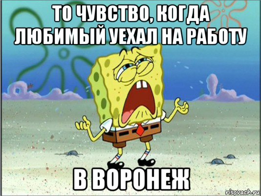 то чувство, когда любимый уехал на работу в воронеж, Мем Спанч Боб плачет