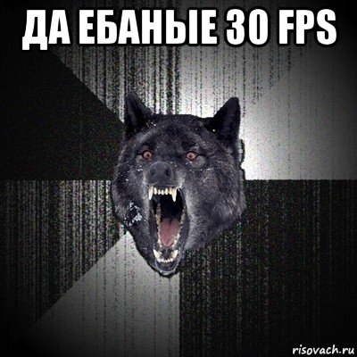 да ебаные 30 fps , Мем Сумасшедший волк