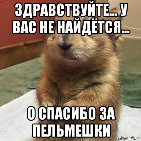 здравствуйте... у вас не найдётся... о спасибо за пельмешки, Мем Суслик спрашивает