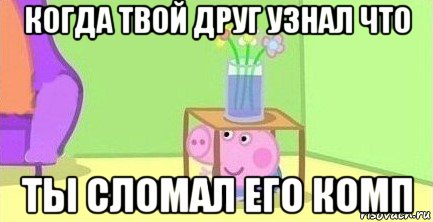 когда твой друг узнал что ты сломал его комп, Мем  Свинка пеппа под столом