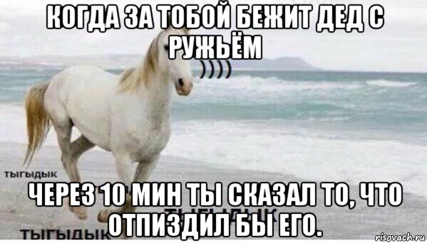 когда за тобой бежит дед с ружьём через 10 мин ты сказал то, что отпиздил бы его., Мем   Тыгыдык