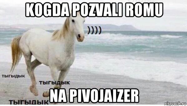 kogda pozvali romu na pivojaizer, Мем   Тыгыдык