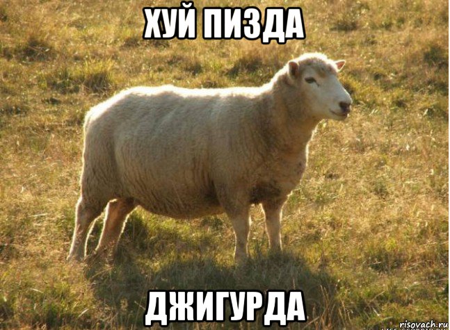 хуй пизда джигурда, Мем Типичная овца