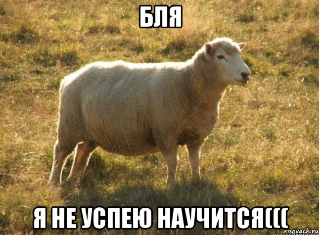 бля я не успею научится(((