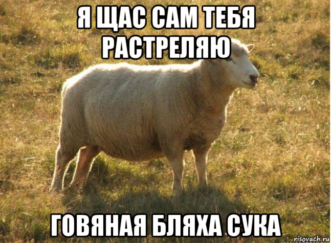 я щас сам тебя растреляю говяная бляха сука