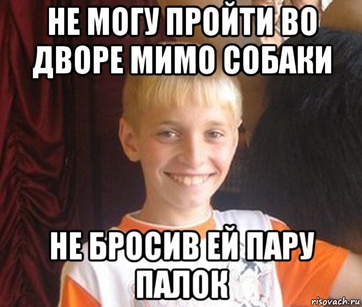 не могу пройти во дворе мимо собаки не бросив ей пару палок, Мем Типичный школьник