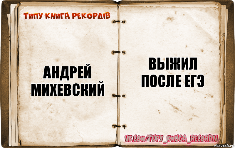 Андрей Михевский Выжил после ЕГЭ, Комикс  Типу книга рекордв