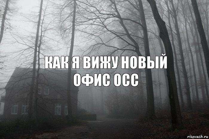 как я вижу Новый офис осс