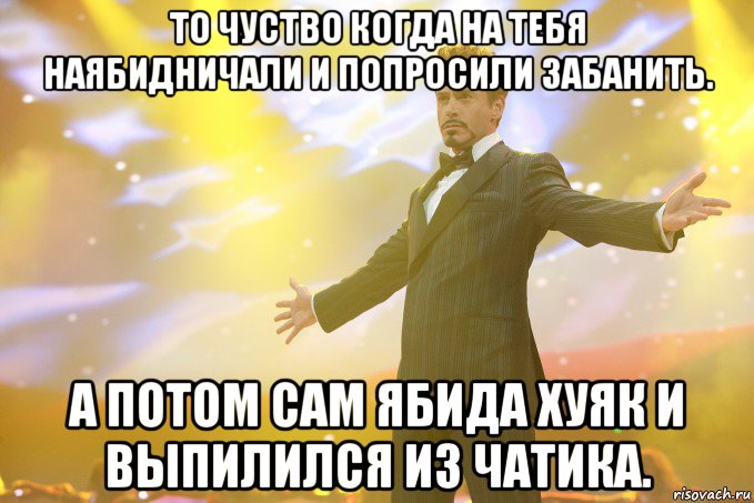 то чуство когда на тебя наябидничали и попросили забанить. а потом сам ябида хуяк и выпилился из чатика., Мем Тони Старк (Роберт Дауни младший)