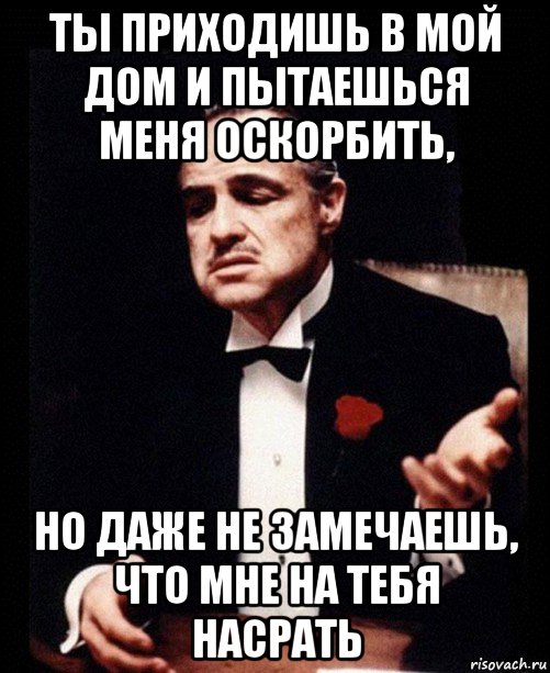 ты приходишь в мой дом и пытаешься меня оскорбить, но даже не замечаешь, что мне на тебя насрать, Мем ты делаешь это без уважения