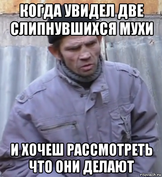 когда увидел две слипнувшихся мухи и хочеш рассмотреть что они делают, Мем  Ты втираешь мне какую то дичь