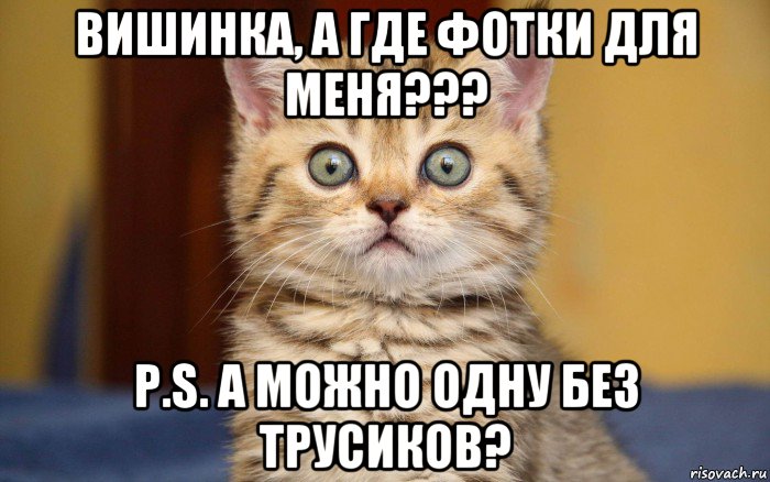 вишинка, а где фотки для меня??? p.s. а можно одну без трусиков?, Мем  удивление