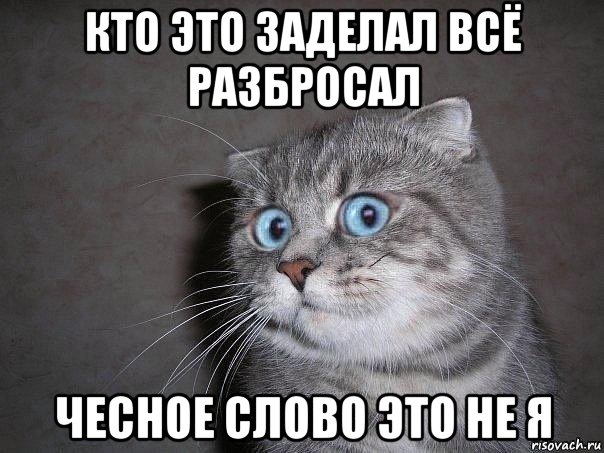 кто это заделал всё разбросал чесное слово это не я, Мем  удивлённый кот