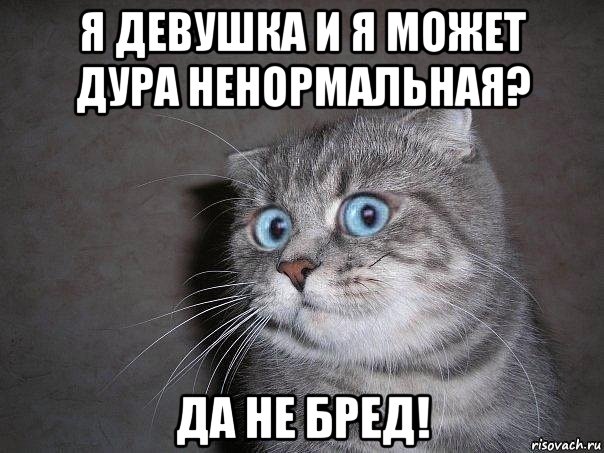 я девушка и я может дура ненормальная? да не бред!, Мем  удивлённый кот