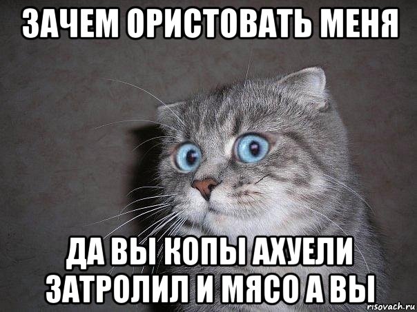 зачем ористовать меня да вы копы ахуели затролил и мясо а вы, Мем  удивлённый кот