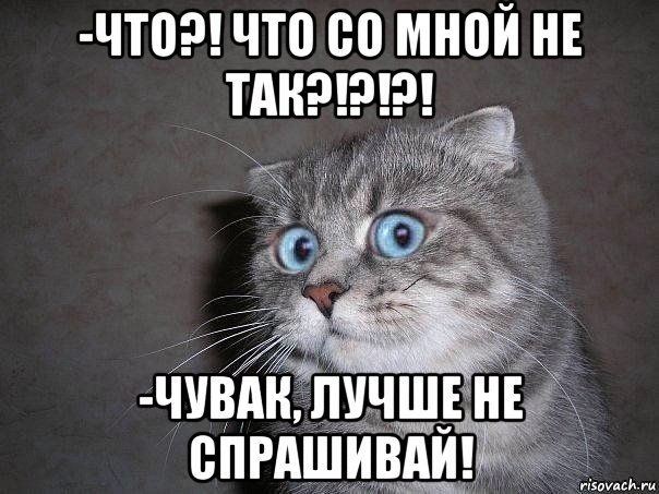 -что?! что со мной не так?!?!?! -чувак, лучше не спрашивай!