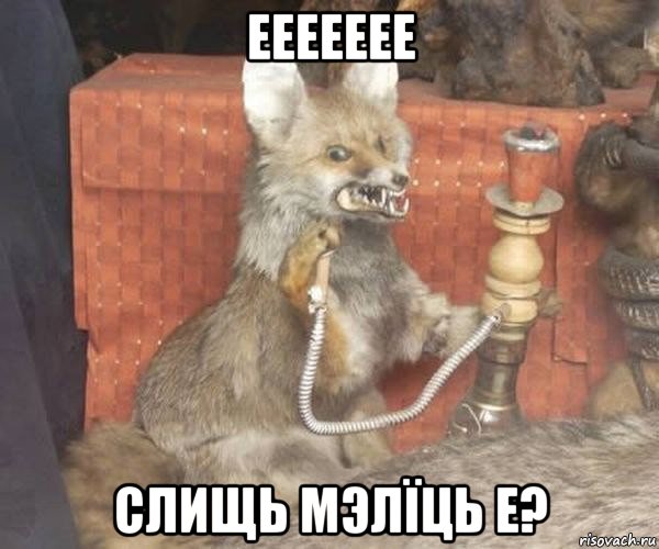 еееееее слищь мэлïць е?