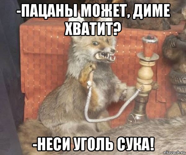 -пацаны может, диме хватит? -неси уголь сука!, Мем Упоротый лис курит кальян