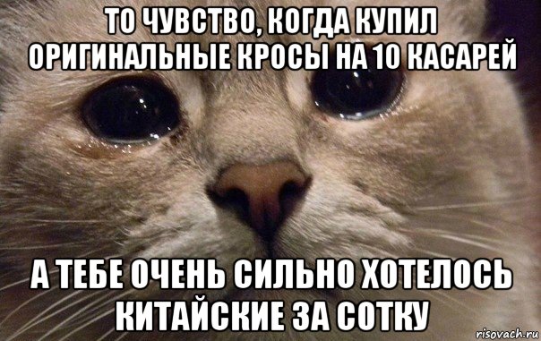 то чувство, когда купил оригинальные кросы на 10 касарей а тебе очень сильно хотелось китайские за сотку, Мем   В мире грустит один котик