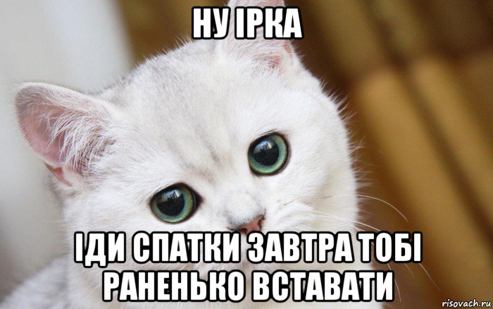 ну ірка іди спатки завтра тобі раненько вставати, Мем  В мире грустит один котик